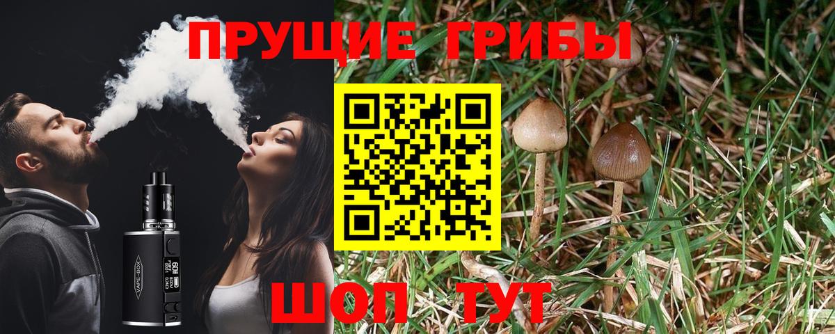 Псилоцибиновые грибы ЛСД  Вход с VPN  Алапаевск 